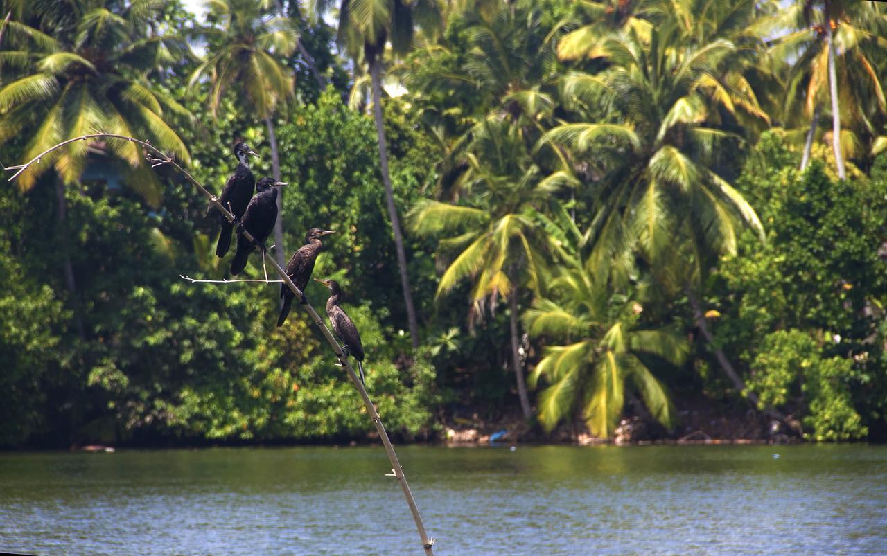New Shangrela Beach Resort Ambalangoda  Buitenkant foto